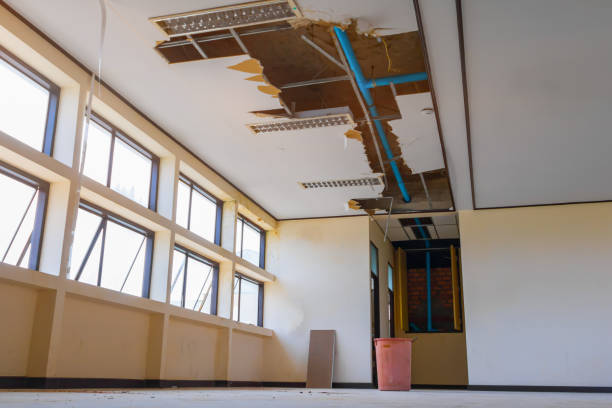 Best Residential water damage restoration  in South Blooming Grove, NY