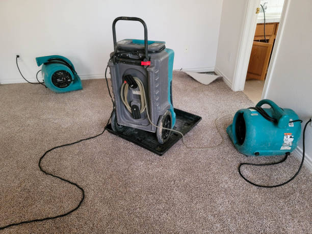 Best Flood restoration services  in South Blooming Grove, NY