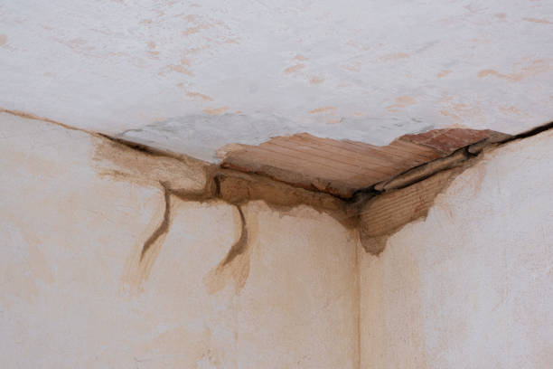 Reliable South Blooming Grove, NY Water damage restoration Solutions