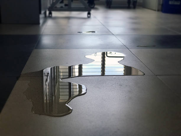 Best 24/7 water damage repair  in South Blooming Grove, NY