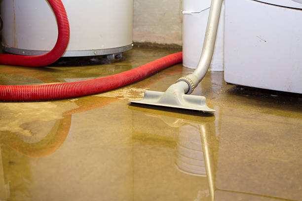 Best Local water damage restoration  in South Blooming Grove, NY