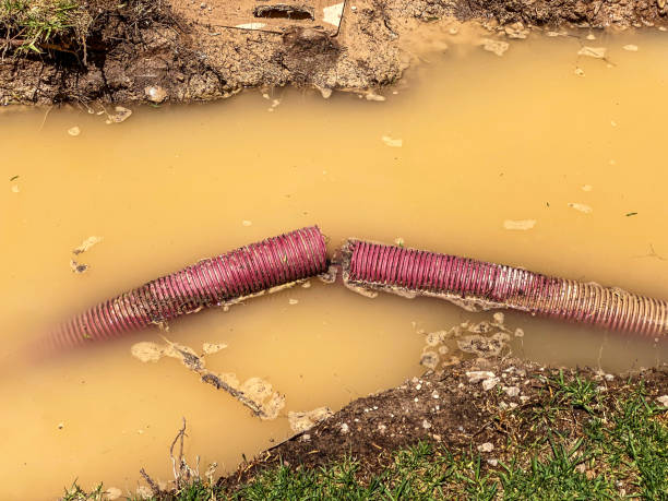  South Blooming Grove, NY Water damage restoration Pros